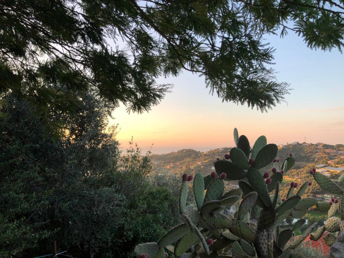 Villa D'Artisti Sanremo Eksteriør bilde