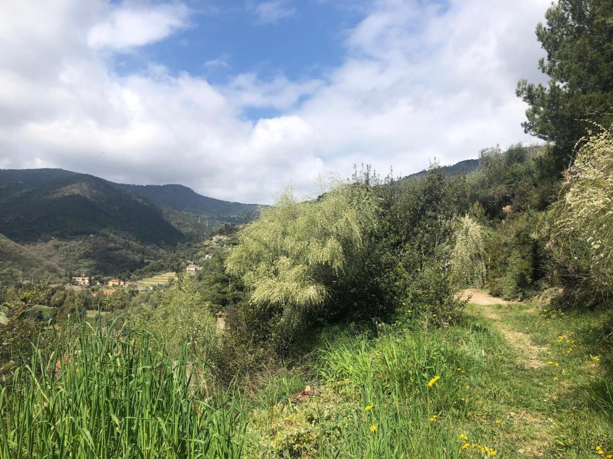 Villa D'Artisti Sanremo Eksteriør bilde