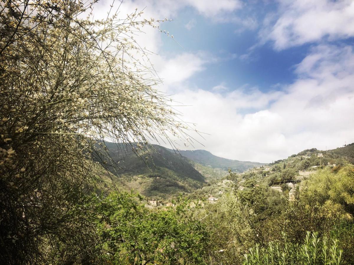 Villa D'Artisti Sanremo Eksteriør bilde