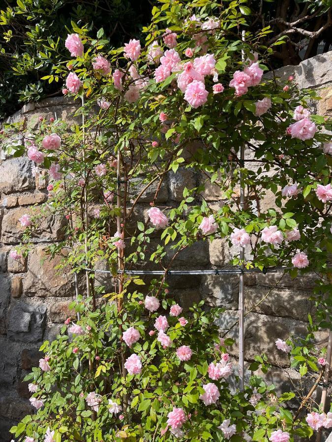 Villa D'Artisti Sanremo Eksteriør bilde