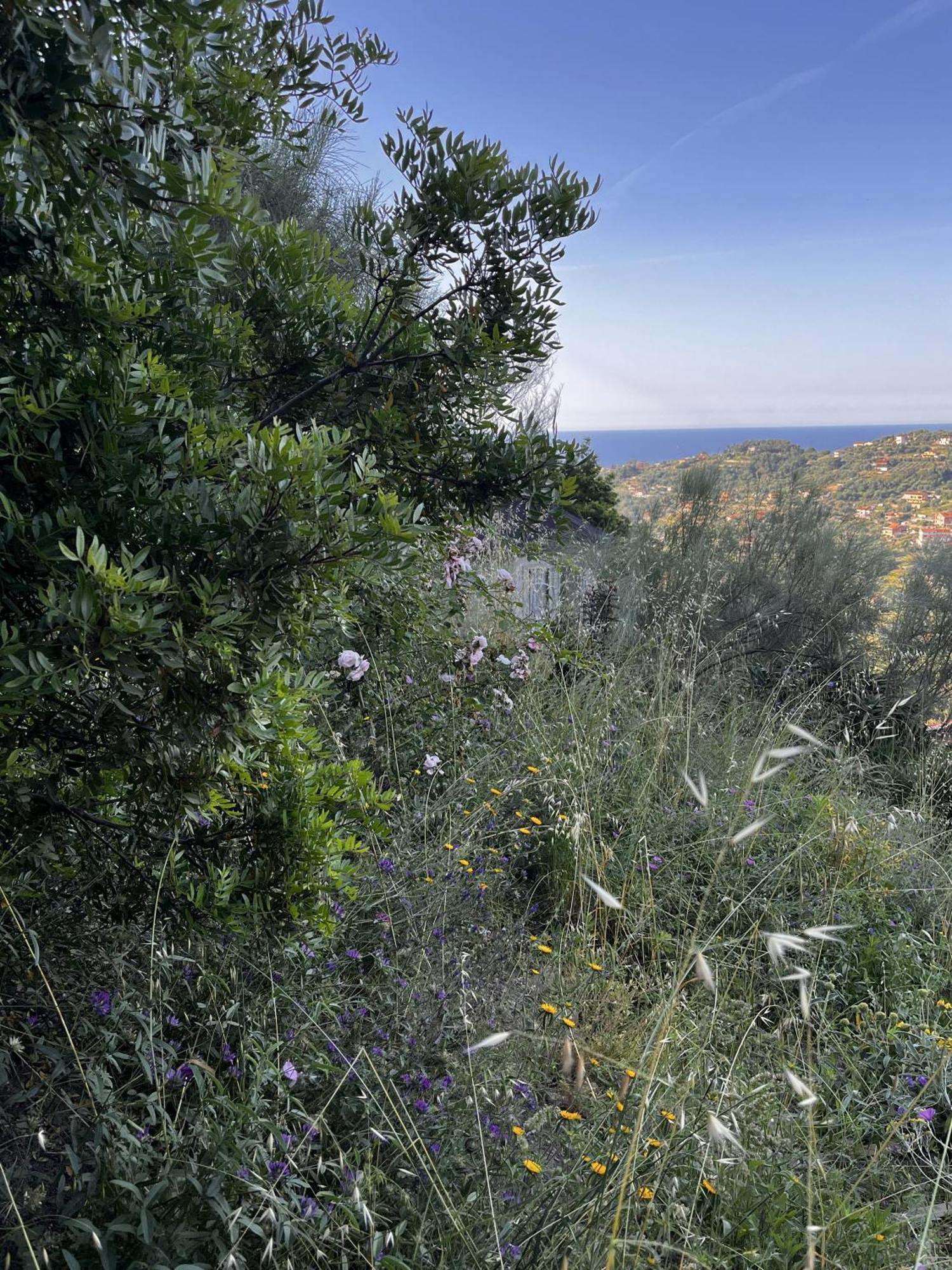 Villa D'Artisti Sanremo Eksteriør bilde